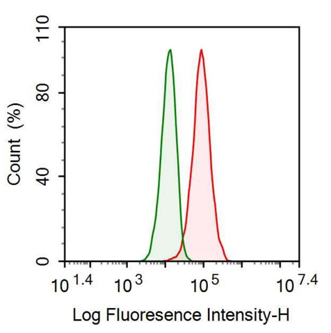 Anti-Alpha-1-Acid Glycoprotein (a1AGP) Monoclonal Antibody