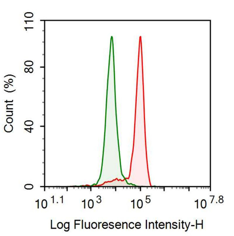 Anti-Haptoglobin (Hpt) Monoclonal Antibody