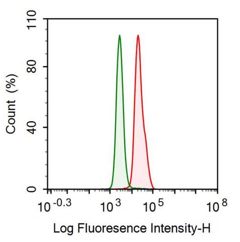 Anti-C Reactive Protein (CRP) Monoclonal Antibody