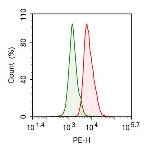 Anti-Heat Shock Protein 60 (Hsp60) Monoclonal Antibody