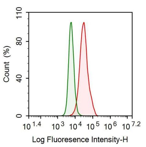 Anti-Serum Amyloid A (SAA) Monoclonal Antibody