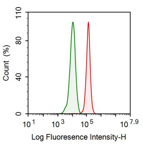 Anti-Cyclophilin A (CYPA) Monoclonal Antibody