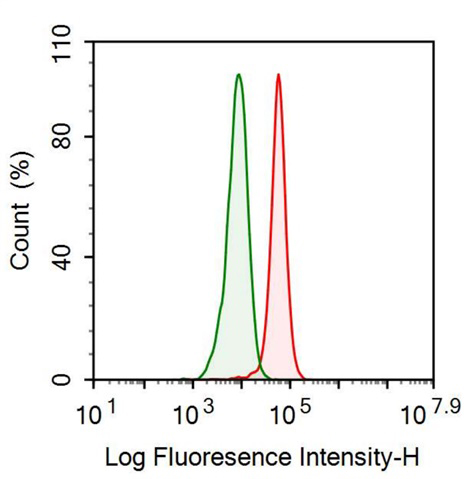 Anti-Cyclophilin A (CYPA) Monoclonal Antibody