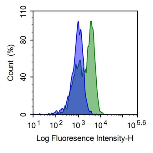 FITC-Linked Anti-Tumor Necrosis Factor Receptor Superfamily, Member 7 (TNFRSF7) Polyclonal Antibody