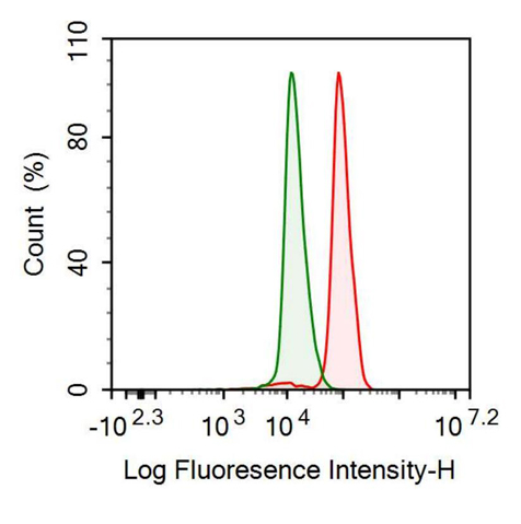 Anti-Heat Shock 70kDa Protein 1A (HSPA1A) Polyclonal Antibody