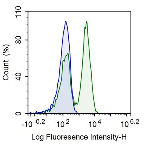 Anti-Motility Related Protein (MRP1) Monoclonal Antibody