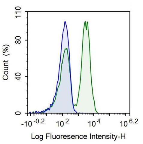 Anti-Motility Related Protein (MRP1) Monoclonal Antibody