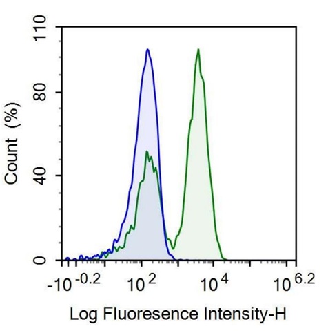 Anti-Motility Related Protein (MRP1) Monoclonal Antibody