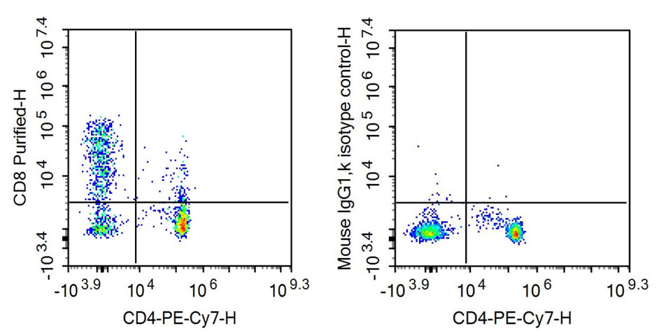 Anti-Cluster Of Differentiation 8a (CD8a) Monoclonal Antibody