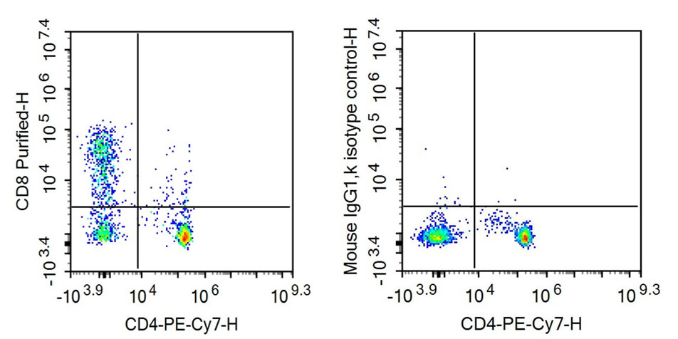 Anti-Cluster Of Differentiation 8a (CD8a) Monoclonal Antibody