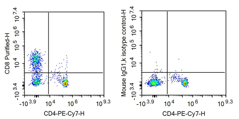 Anti-Cluster Of Differentiation 8a (CD8a) Monoclonal Antibody