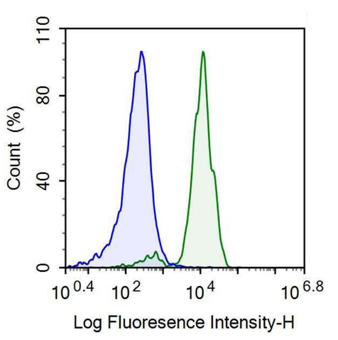 Anti-Cluster Of Differentiation 42b (CD42b) Monoclonal Antibody