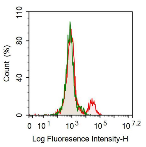 Anti-Sialic Acid Binding Ig Like Lectin 2 (CD22) Monoclonal Antibody