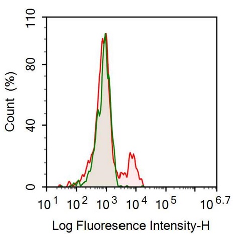 Anti-Sialic Acid Binding Ig Like Lectin 2 (CD22) Monoclonal Antibody