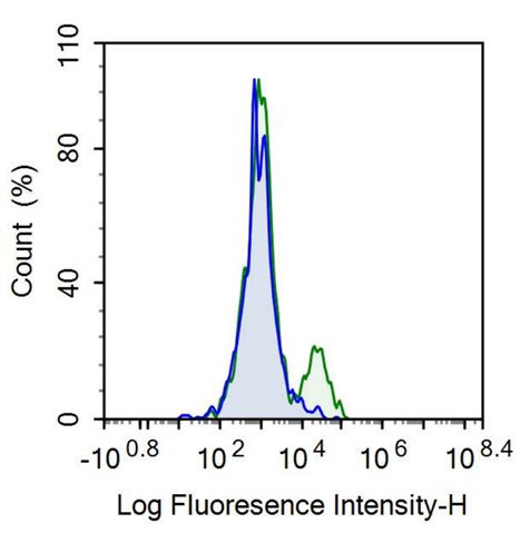 Anti-Membrane Spanning 4 Domains Subfamily A, Member 1 (CD20) Monoclonal Antibody