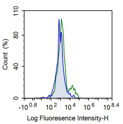 Anti-Membrane Spanning 4 Domains Subfamily A, Member 1 (CD20) Monoclonal Antibody