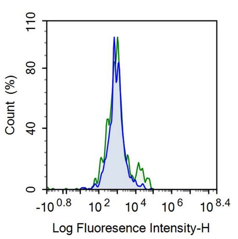 Anti-Membrane Spanning 4 Domains Subfamily A, Member 1 (CD20) Monoclonal Antibody