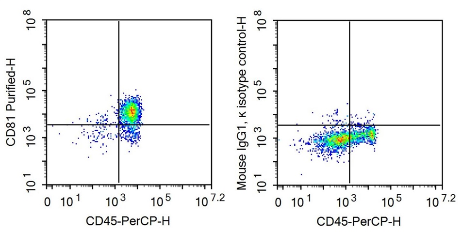 Anti-Target Of The Antiproliferative Antibody 1 (TAPA1) Monoclonal Antibody