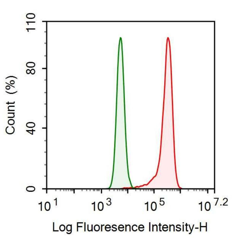 Anti-VGF Nerve Growth Factor Inducible (VGF) Monoclonal Antibody