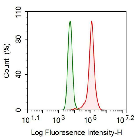 Anti-VGF Nerve Growth Factor Inducible (VGF) Monoclonal Antibody