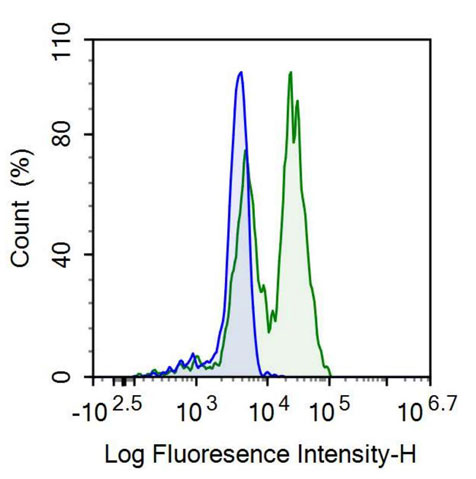 Anti-Transferrin Receptor (TFR) Monoclonal Antibody