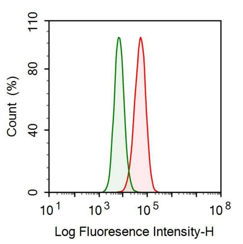 Anti-Transferrin Receptor (TFR) Monoclonal Antibody