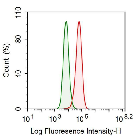 Anti-Transferrin Receptor (TFR) Monoclonal Antibody