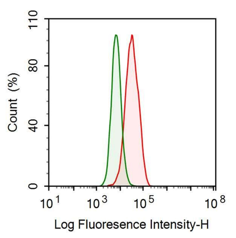 Anti-Transferrin Receptor (TFR) Monoclonal Antibody