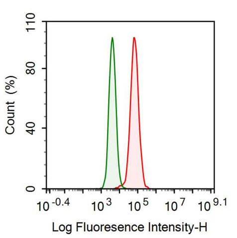 Anti-Clusterin (CLU) Monoclonal Antibody