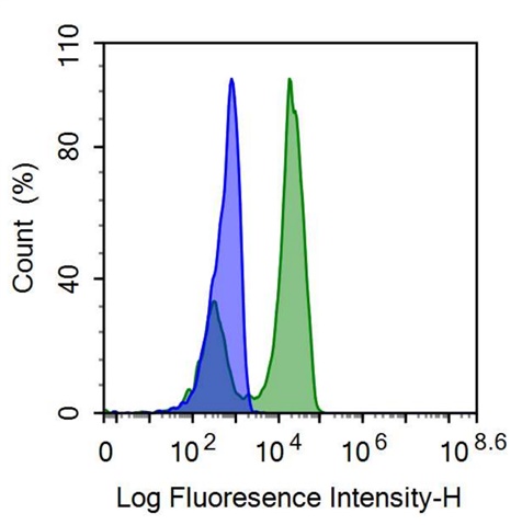 FITC-Linked Anti-Cluster Of Differentiation 56 (CD56) Monoclonal Antibody