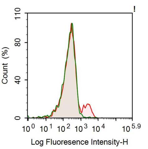 Anti-Tumor Necrosis Factor Receptor Superfamily, Member 5 (CD40) Monoclonal Antibody