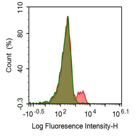 PE-Linked Anti-Tumor Necrosis Factor Receptor Superfamily, Member 5 (CD40) Polyclonal Antibody