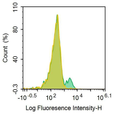 FITC-Linked Anti-Tumor Necrosis Factor Receptor Superfamily, Member 5 (CD40) Polyclonal Antibody