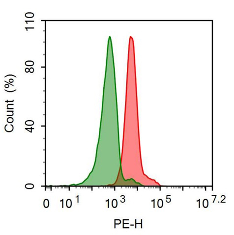 PE-Linked Anti-Cluster Of Differentiation 73 (CD73) Monoclonal Antibody