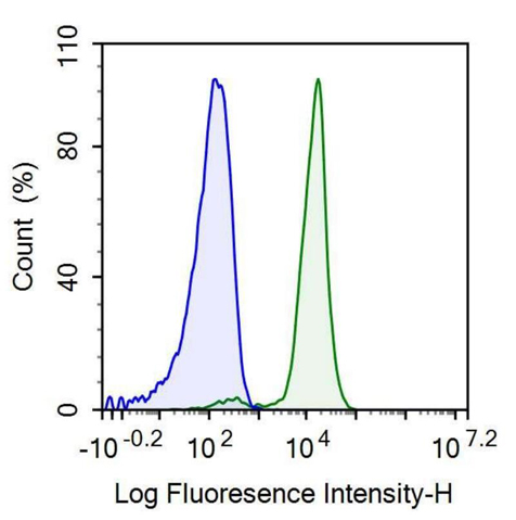 Anti-Integrin Beta 3 (ITGb3) Monoclonal Antibody