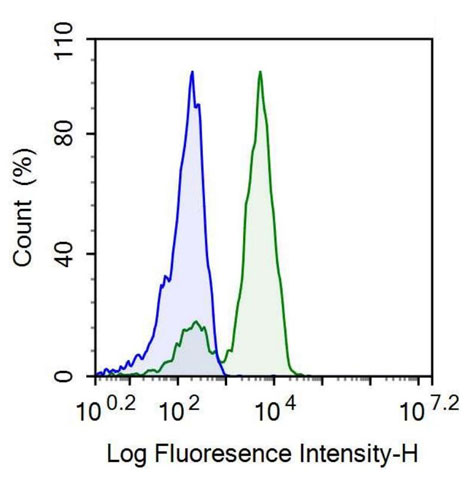 Anti-Integrin Beta 3 (ITGb3) Monoclonal Antibody