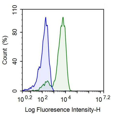 Anti-Integrin Beta 3 (ITGb3) Monoclonal Antibody