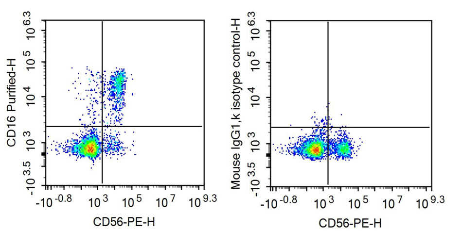 Anti-Fc Fragment Of IgG Low Affinity IIIb Receptor (FcgR3B) Monoclonal Antibody