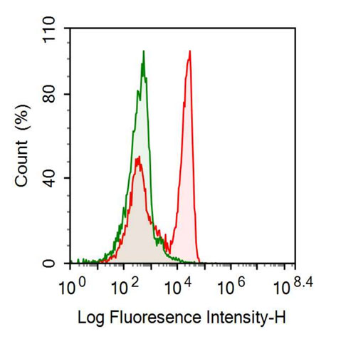 Anti-Fc Fragment Of IgG Low Affinity IIIa Receptor (FcgR3A) Monoclonal Antibody