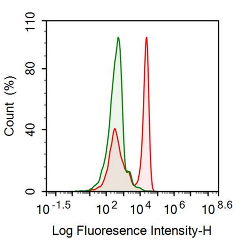 Anti-Fc Fragment Of IgG Low Affinity IIIa Receptor (FcgR3A) Monoclonal Antibody