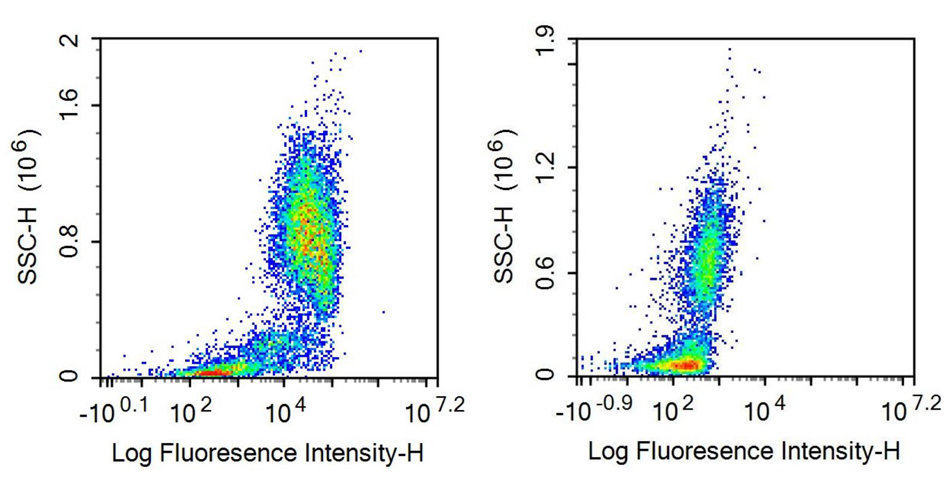 Anti-Fc Fragment Of IgG Low Affinity IIIa Receptor (FcgR3A) Monoclonal Antibody