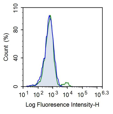 Anti-Beta-1,3-Glucuronyltransferase 1 (b3GAT1) Monoclonal Antibody