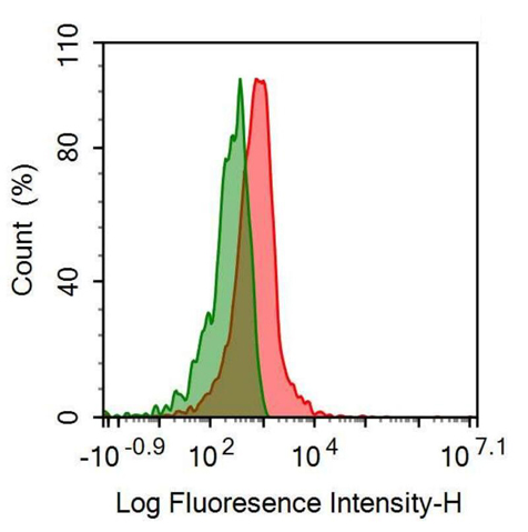 APC-Linked Anti-Tetraspanin 30Cluster of Differentiation 63 (CD63) Monoclonal Antibody