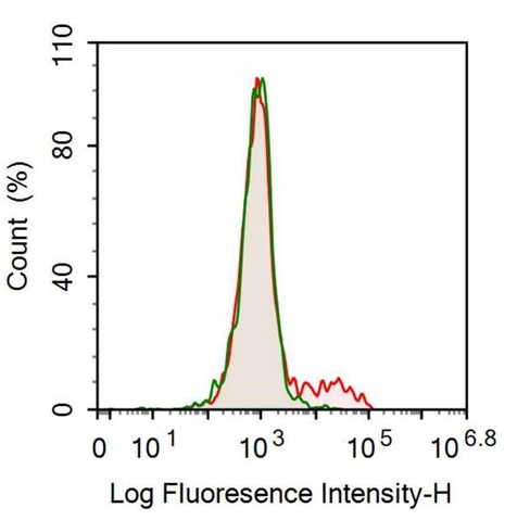 Anti-Cluster of Differentiation 79B (CD79B) Monoclonal Antibody