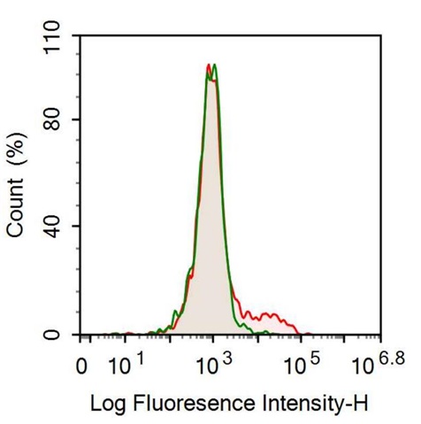 Anti-Cluster of Differentiation 79B (CD79B) Monoclonal Antibody