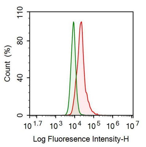 Anti-Hemoglobin (HB) Polyclonal Antibody