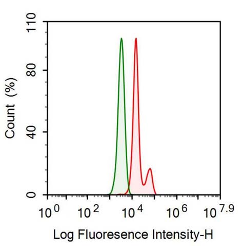 Anti-Indoleamine-2,3-Dioxygenase (IDO) Monoclonal Antibody