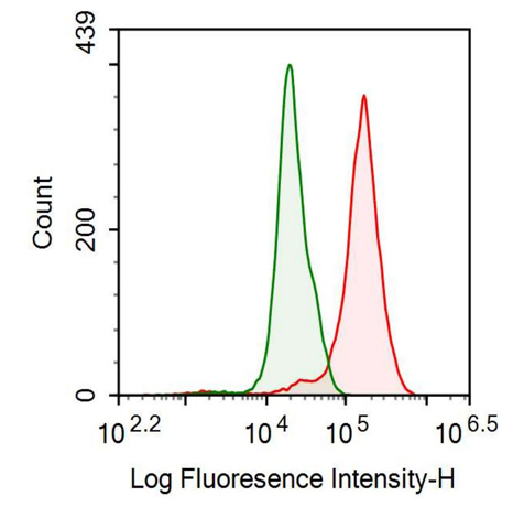 Anti-Cluster Of Differentiation 2 (CD2) Polyclonal Antibody