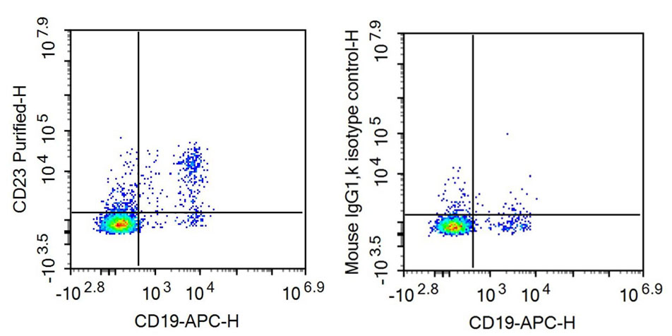 Anti-Cluster Of Differentiation 23 (CD23) Monoclonal Antibody