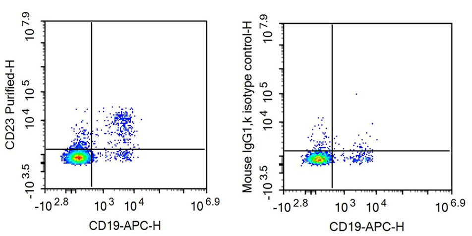 Anti-Cluster Of Differentiation 23 (CD23) Monoclonal Antibody